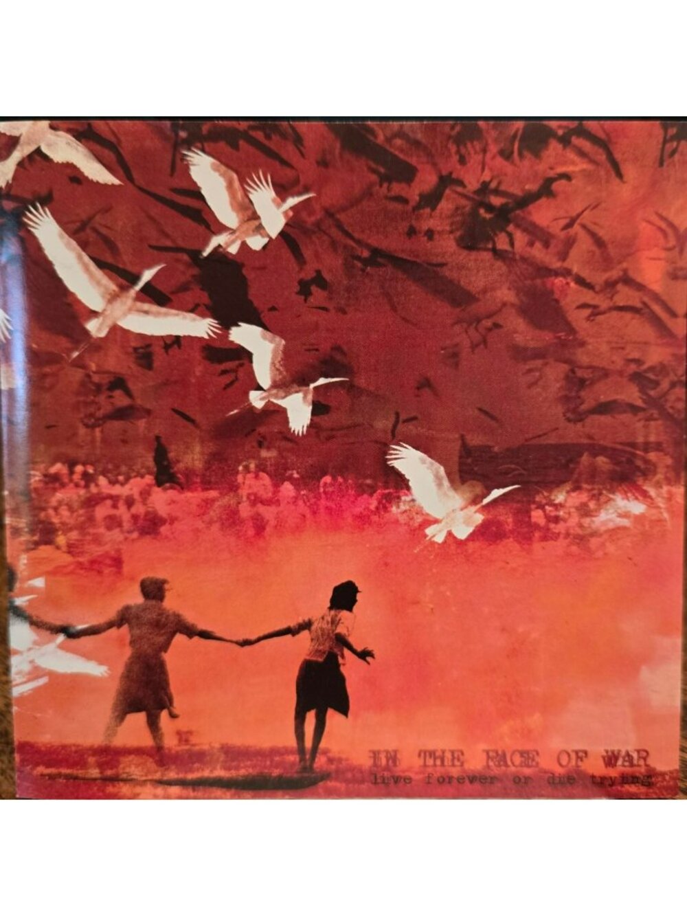 In The Face Of War CD Post-Hardcore Album With Dynamic Artwork & Lyrics 38067cd